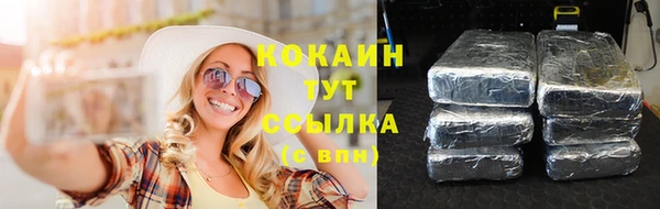 ешки Арсеньев