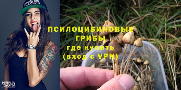 ешки Арсеньев