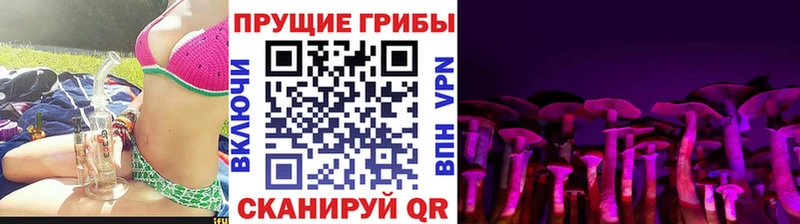 купить наркоту Биробиджан MEGA сайт Псилоцибиновые грибы Magic Shrooms